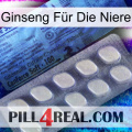 Ginseng Für Die Niere 34